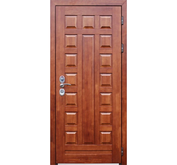 Стальная дверь Массив