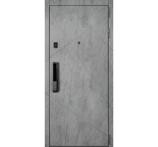 Стальная дверь Сантос